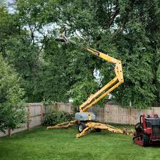 Best Grass Overseeding  in Oconto Falls, WI