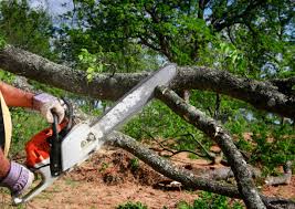 Lawn Irrigation Installation and Maintenance in Oconto Falls, WI