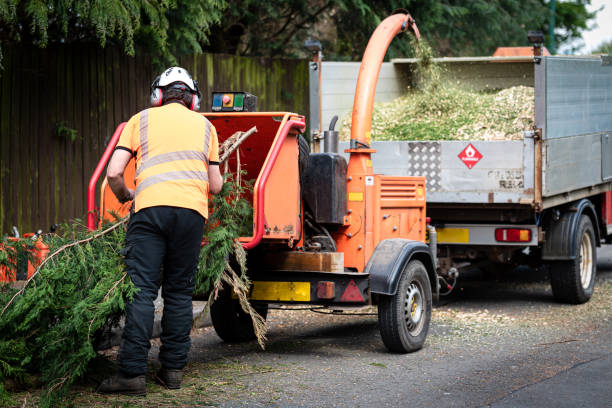 Best Fruit Tree Pruning  in Oconto Falls, WI