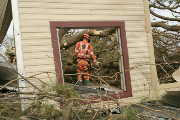 Trusted Oconto Falls, WI Tree Services Experts